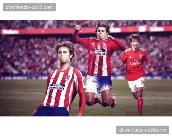 深度：古巴柔道人才外流现象分析及其对国际格局的影响